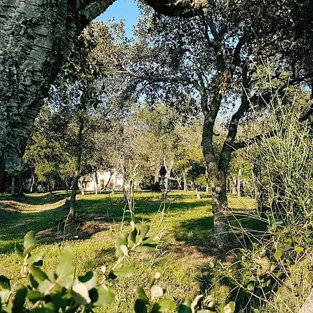 Sole 3 - Monolocale Con Soppalco